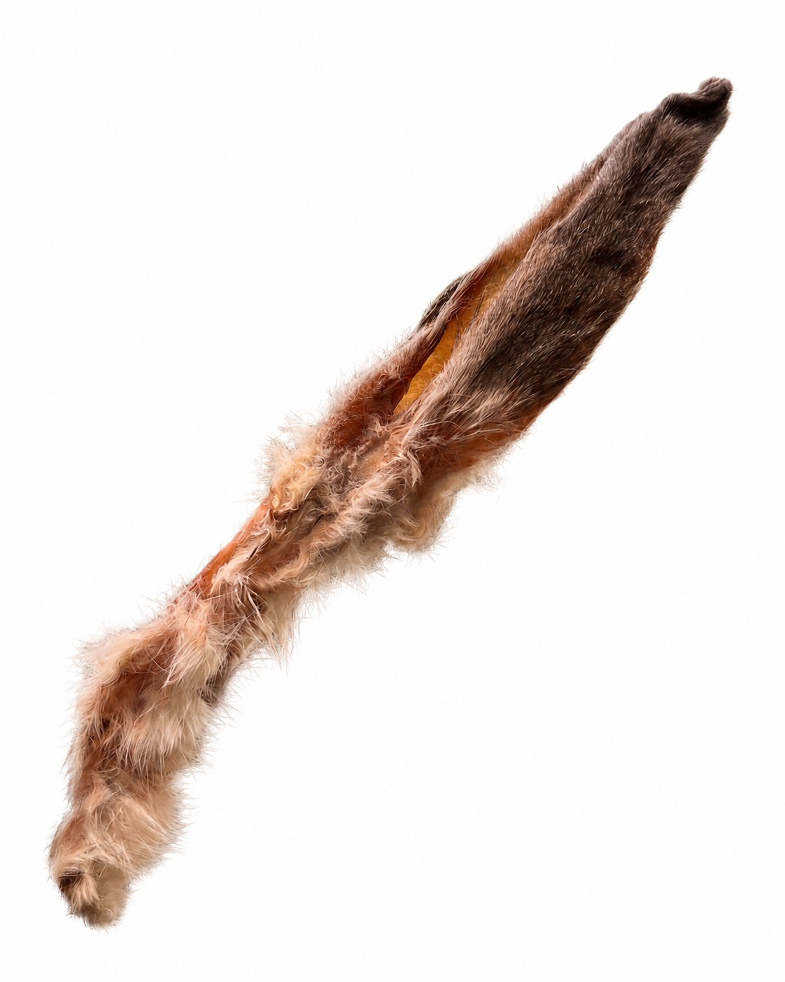 Rabbit Ears