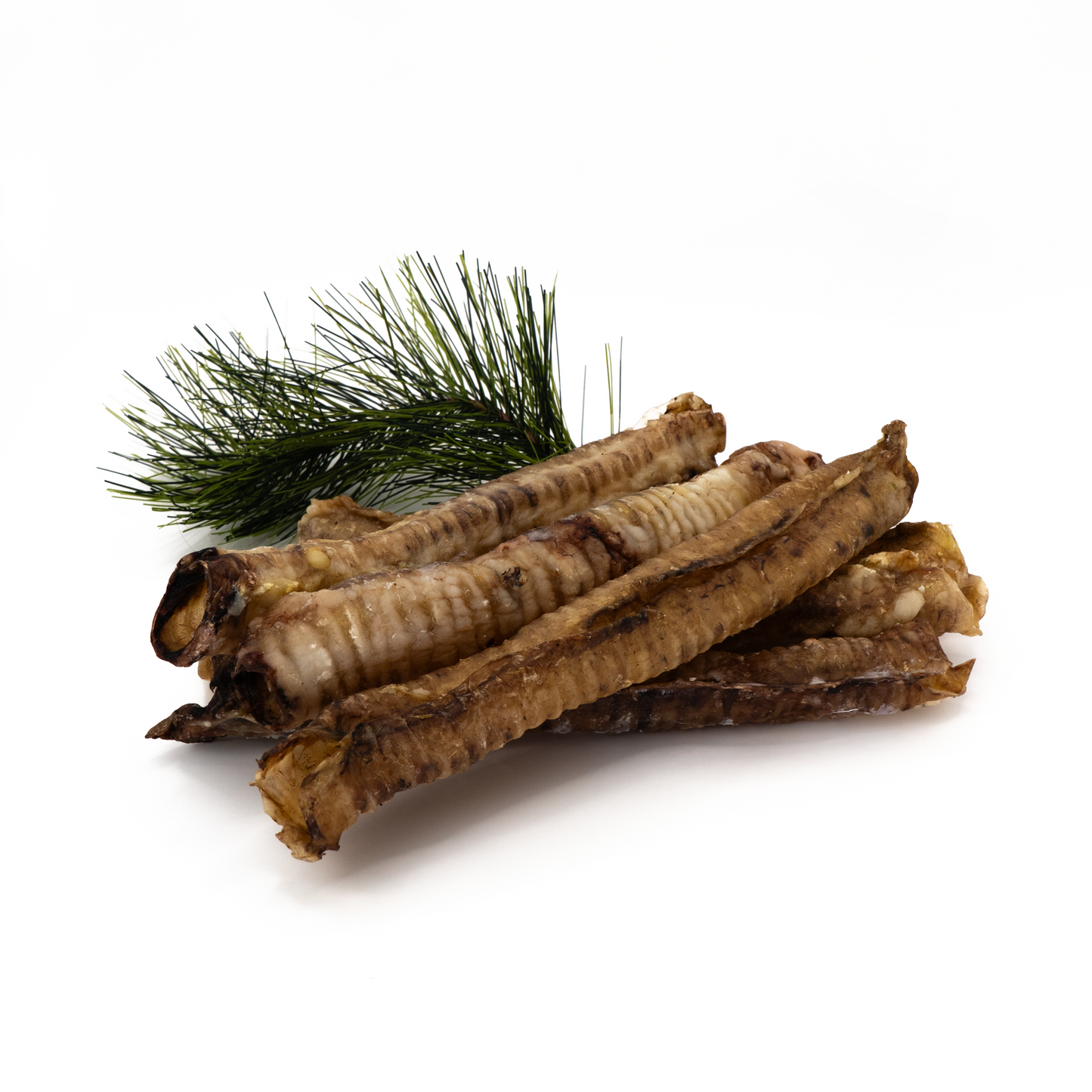 Beef trachea