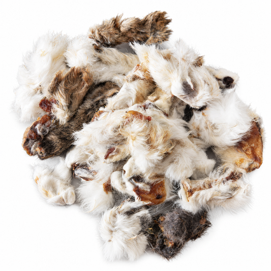Rabbit Chips